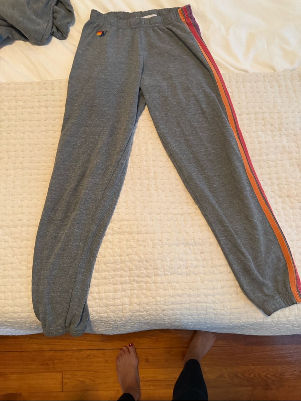 Aviator Nation Gray Jogger Pants with Rainbow Side Stripes - Picture 4 of 4